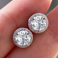 Pink Crystal Halo Earrings